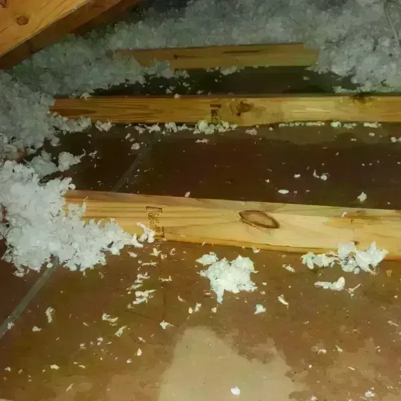 Attic Water Damage in North Corbin, KY